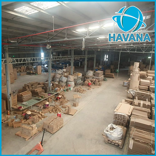 Hình ảnh công ty Havana - Giấy Tổ Ong Havana - Công Ty TNHH Thương Mại Sản Xuất Havana Việt Nam